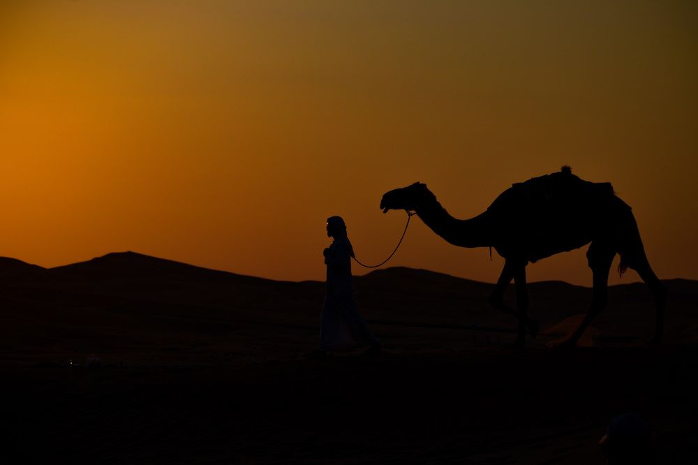 Фотография автора Kirtesh Mahant