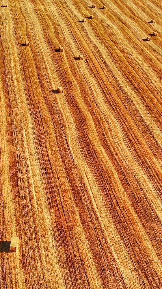 Photograph by Kobbie Pessach