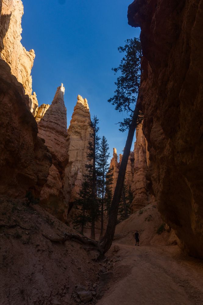 Photograph by Manish (Valmie) Joshi