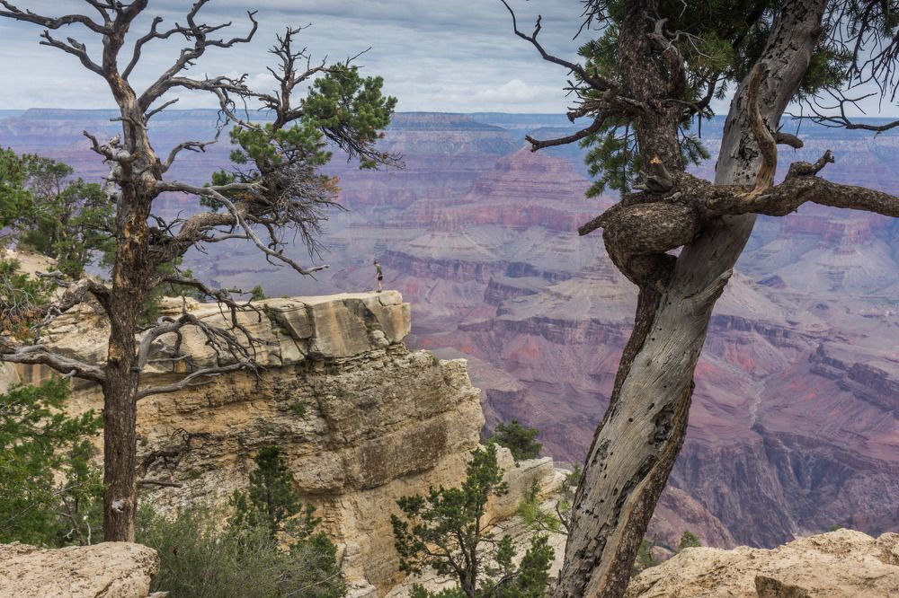 Photograph by Manish (Valmie) Joshi