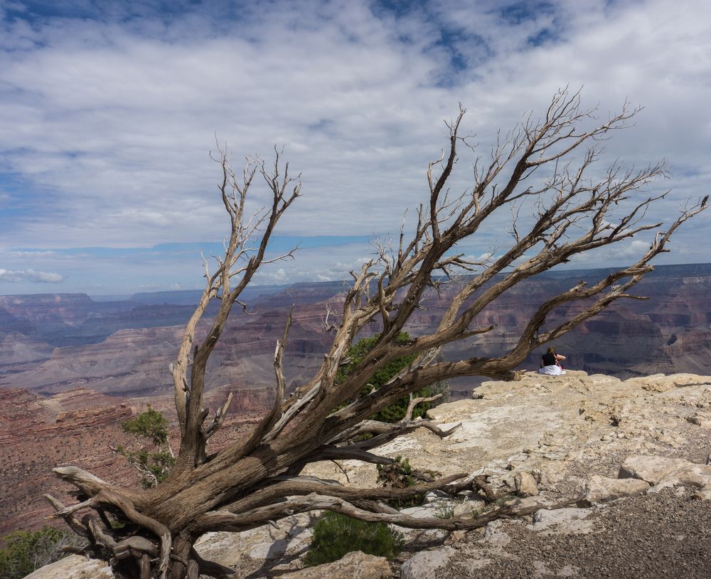 Photograph by Manish (Valmie) Joshi