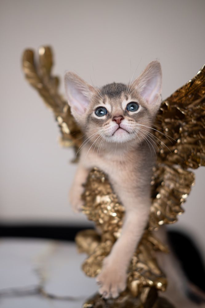 Photograph by Александра Янкина