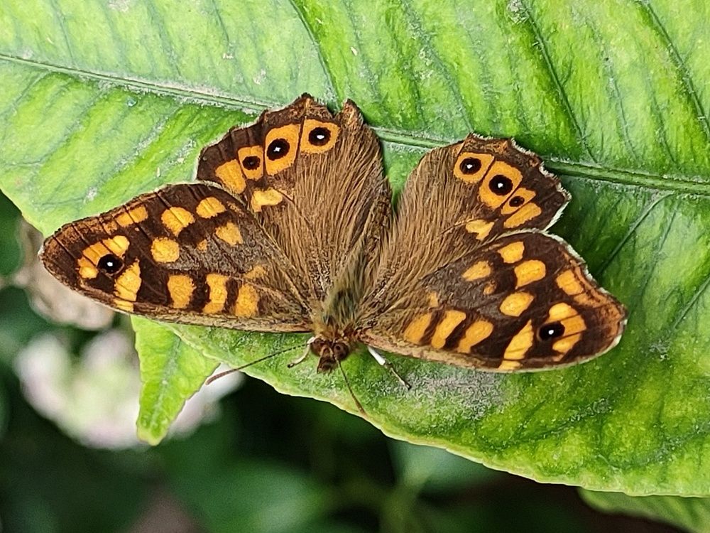 Photograph by Kaouche Mohamed