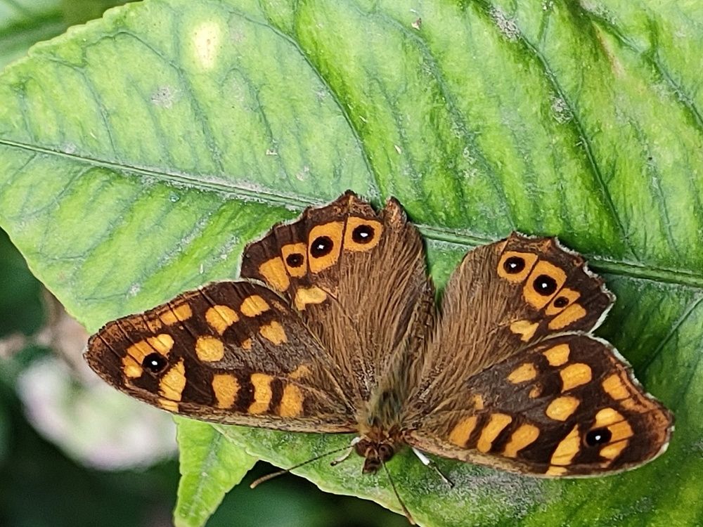 Photograph by Kaouche Mohamed