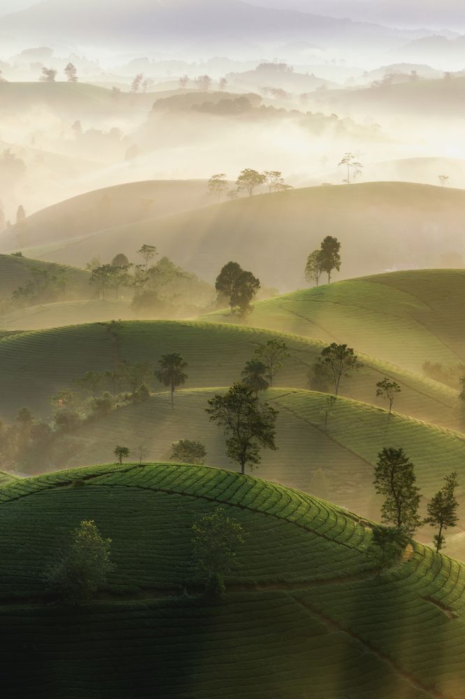 Photograph by Nguyen Ngoc Tuan