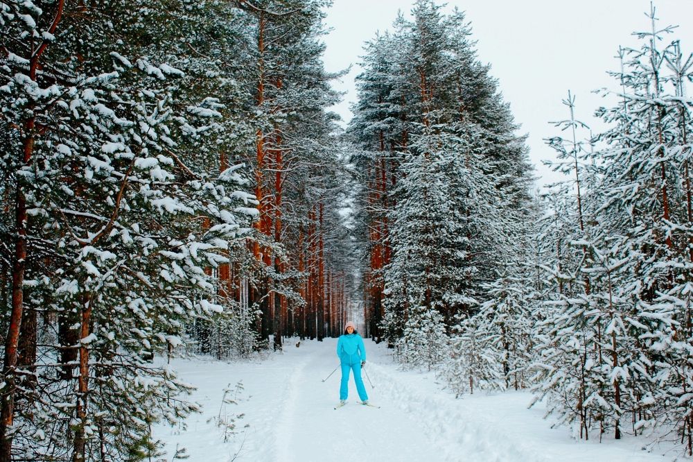 Физкульт-привет!