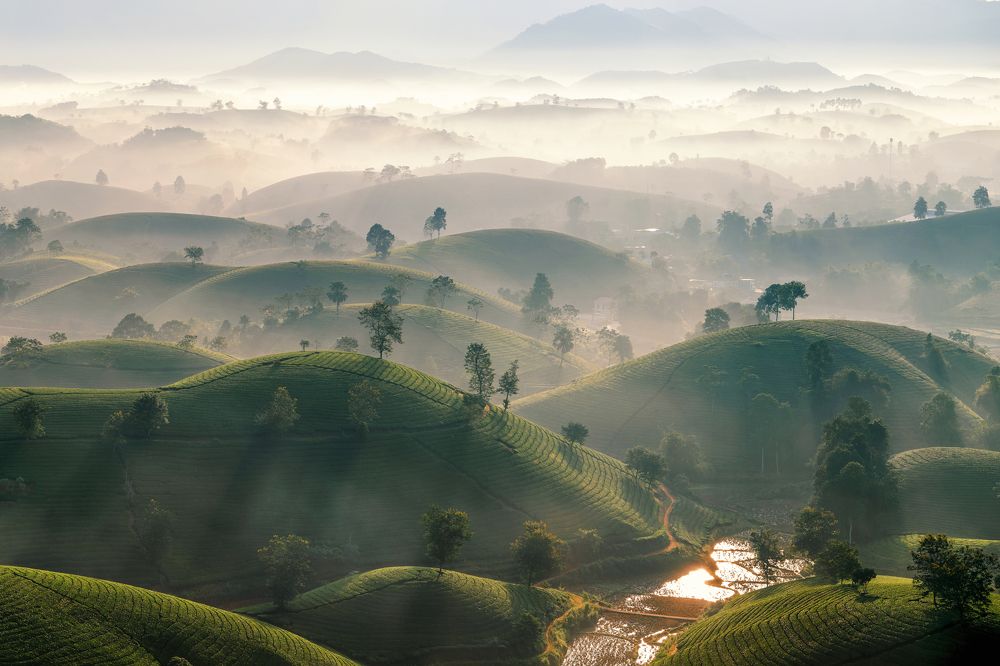 Photograph by Nguyen Ngoc Tuan