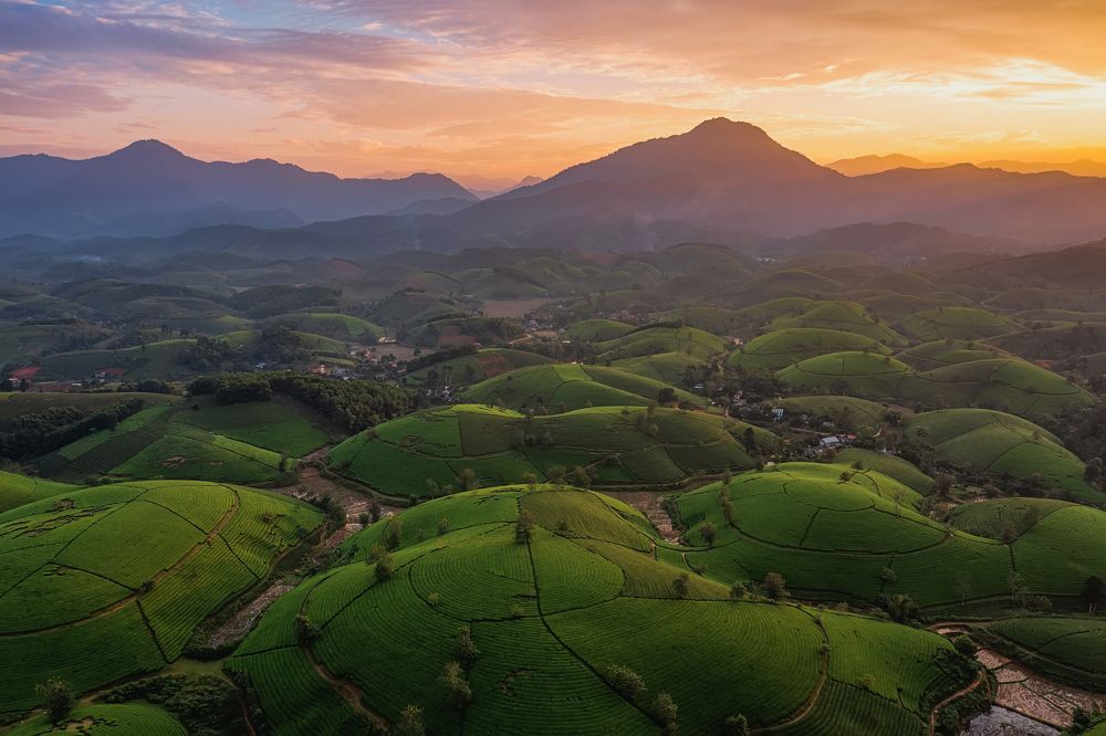 Photograph by Nguyen Ngoc Tuan