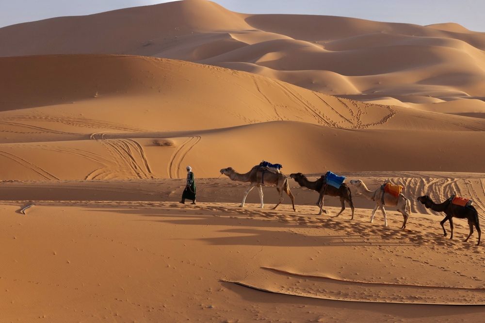 Photograph by Ольга Одаренко