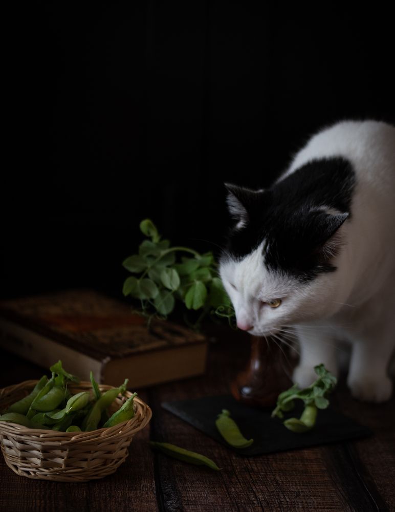 Photograph by Татьяна Бегун