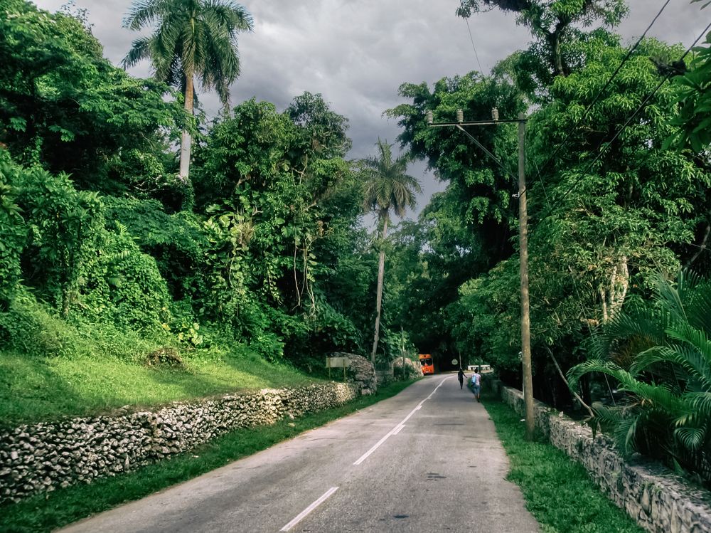 Сьерра-дель-Росарио (Куба)