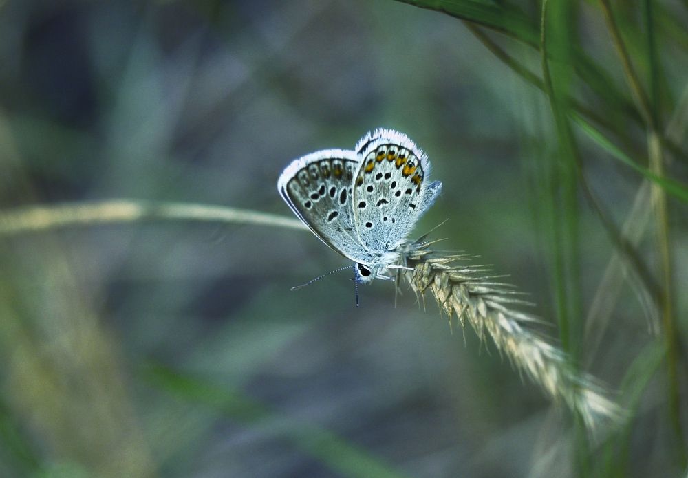 Photograph by Natalia Bolotenkova