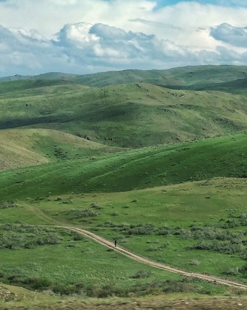 Photograph by Орынбек Асилбаев