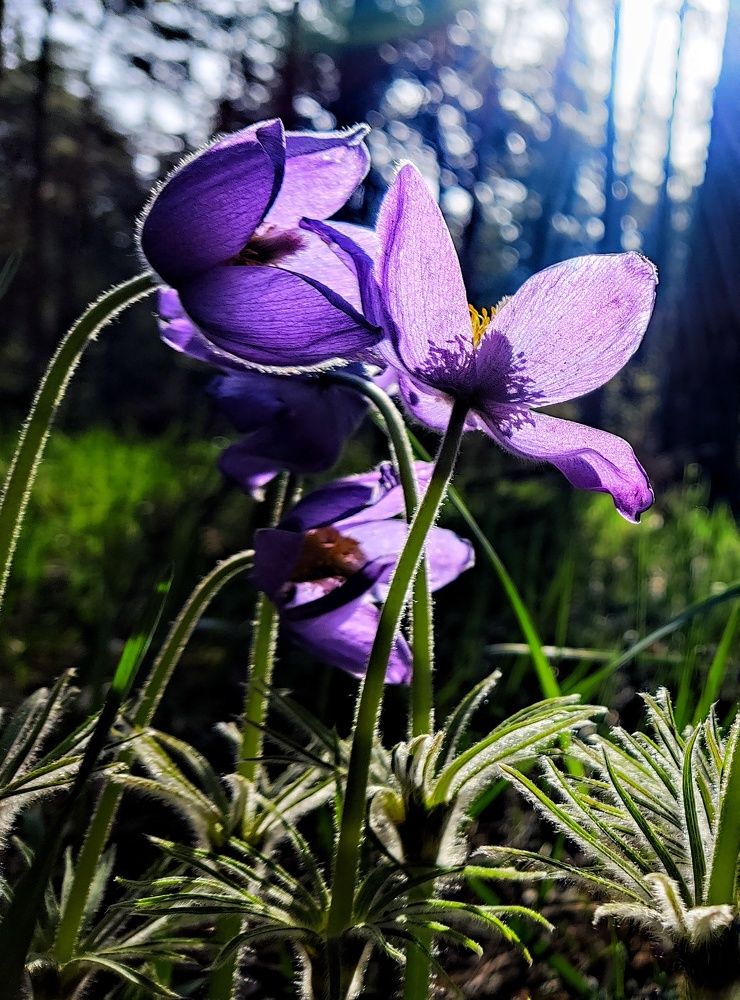 Photograph by Денис Воронин