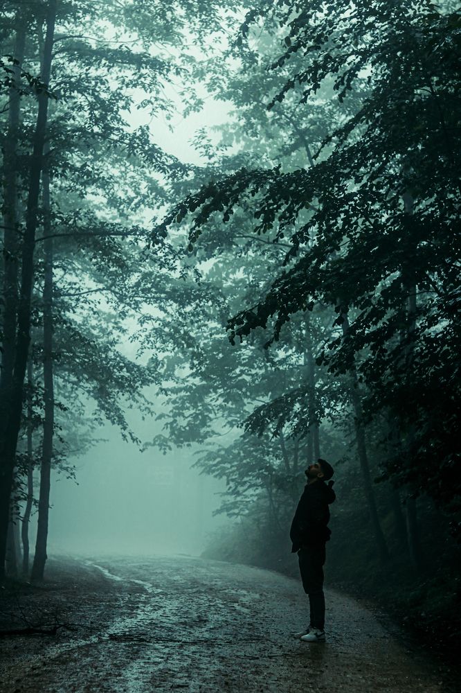 Photograph by Esmaeil ghorbani