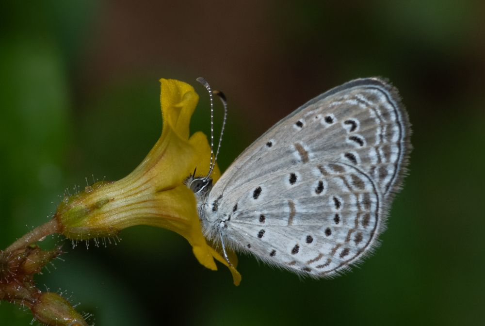 Photograph by Rachana madhav