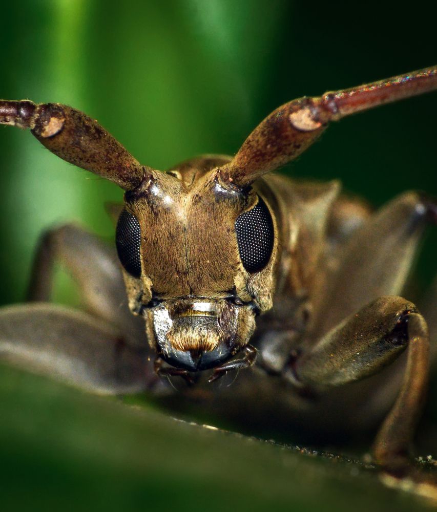 Photograph by Rachana madhav