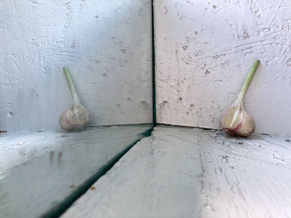 Photograph by Виктория Горельченко