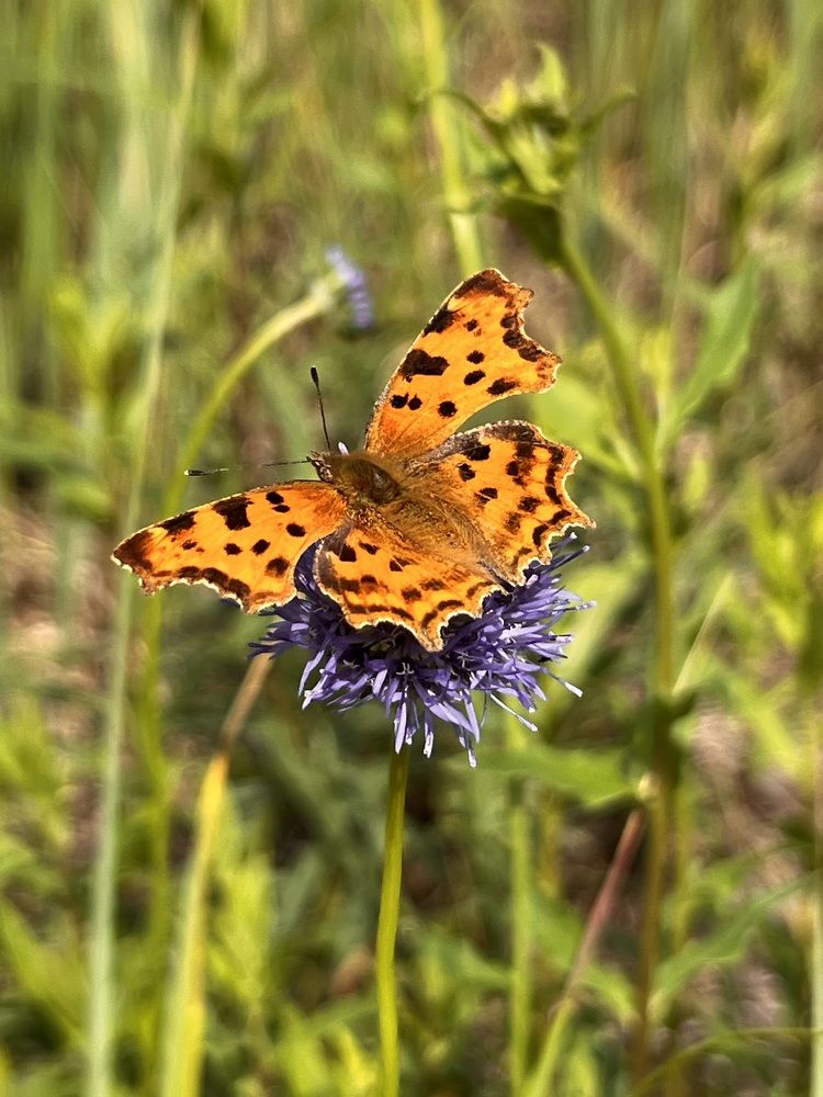 Фотография автора Евгения Булавина