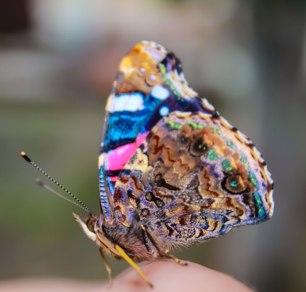 Photograph by Татьяна Слободчикова