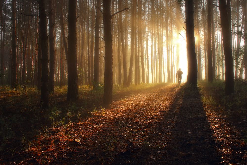 Photograph by Виктор Тулбанов