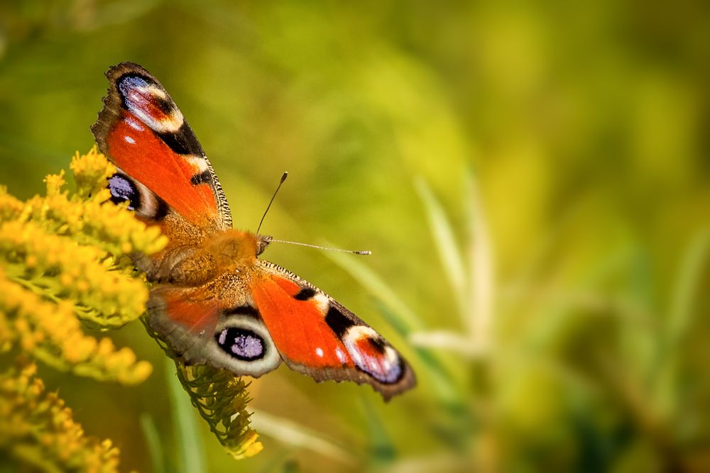 Photograph by Юрий Яковлевич