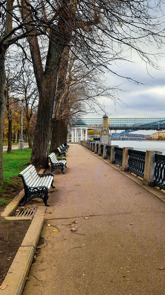 Photograph by Ольга Новоселова