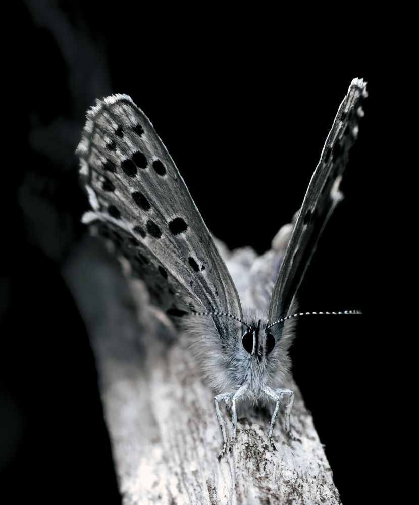 Photograph by Stamen Sotirov