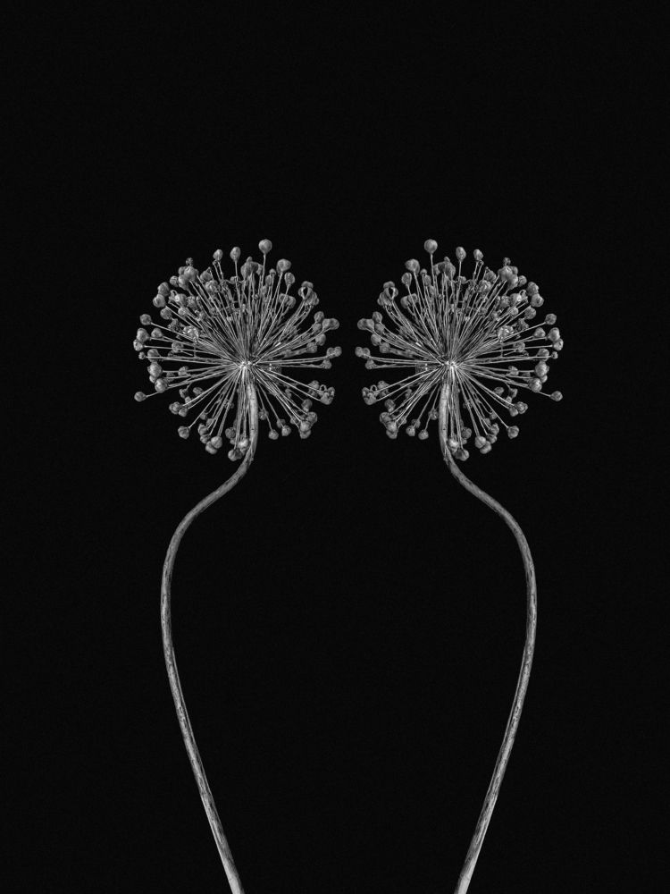 Photograph by Андрей Васильев