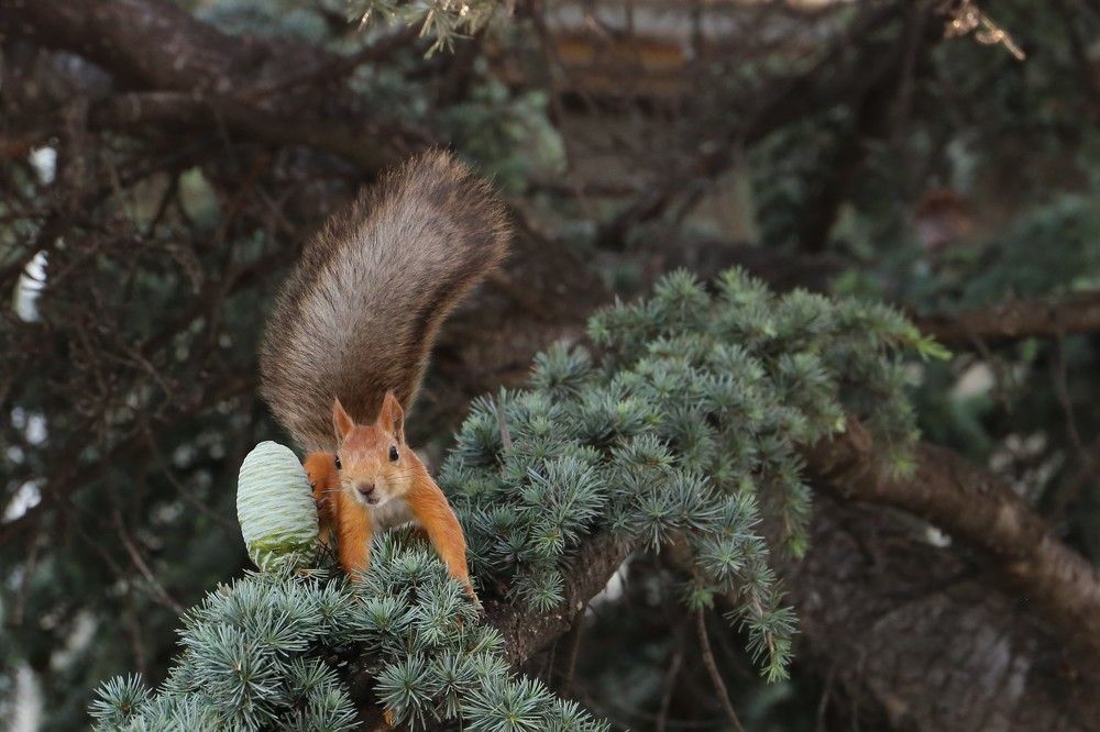 Привет с южного берега Крыма!