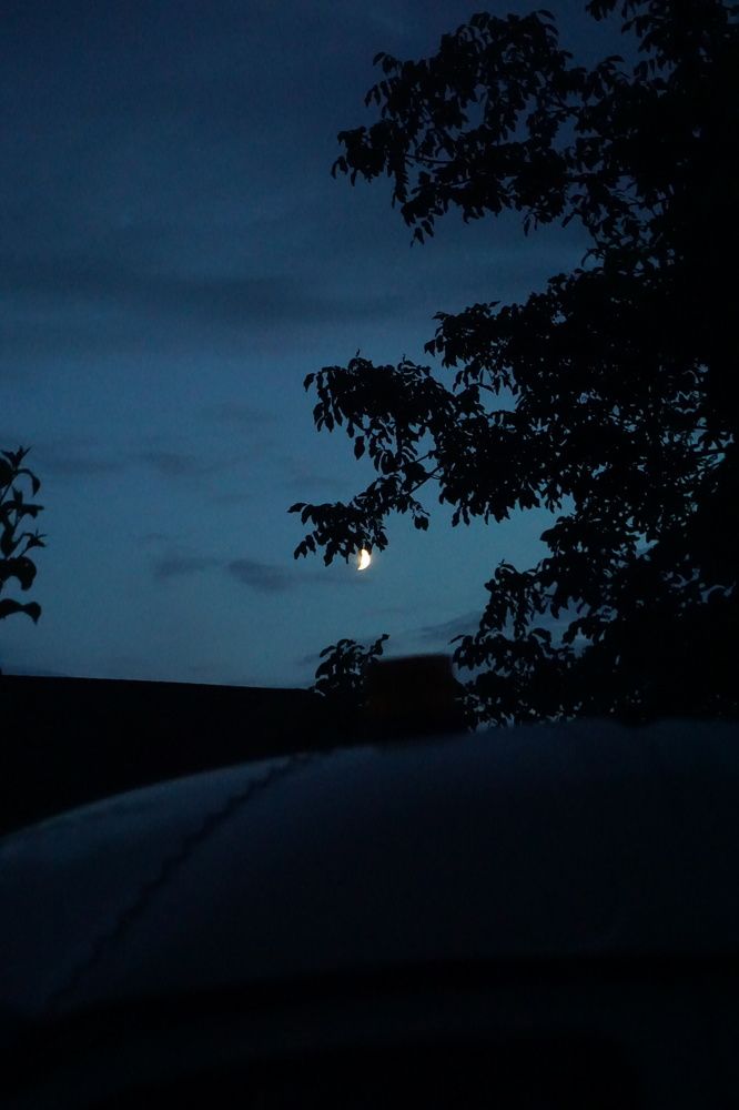 Photograph by Александра Пецевич