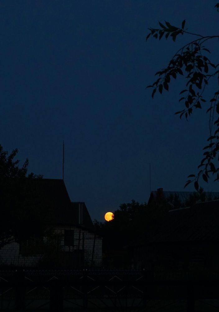 Photograph by Александра Пецевич