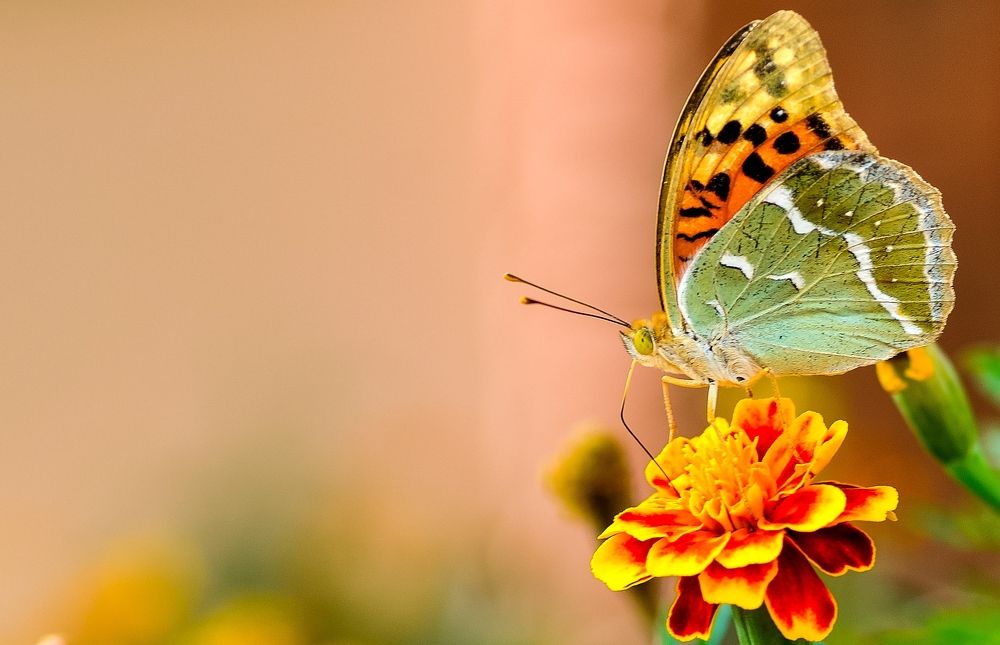 Photograph by Юрий Яковлевич