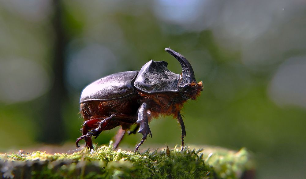 Photograph by Алексей Чернов