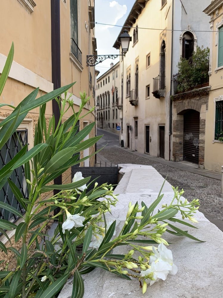 Photograph by Елена Плюхина