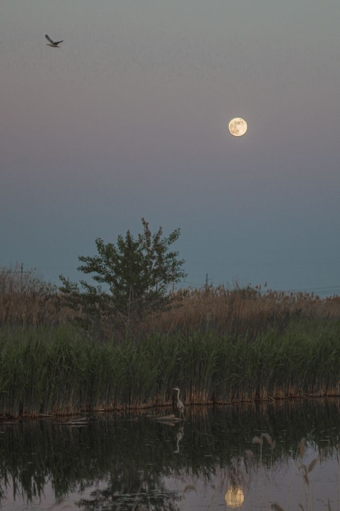 Photograph by Дмитрий Рзянин
