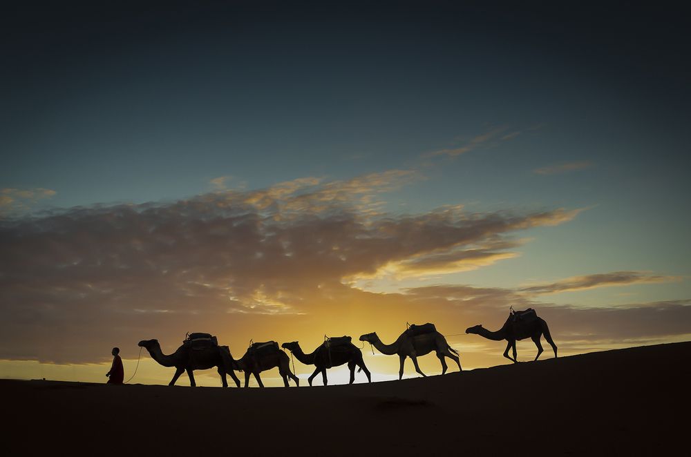 Photograph by Klas Gustafsson