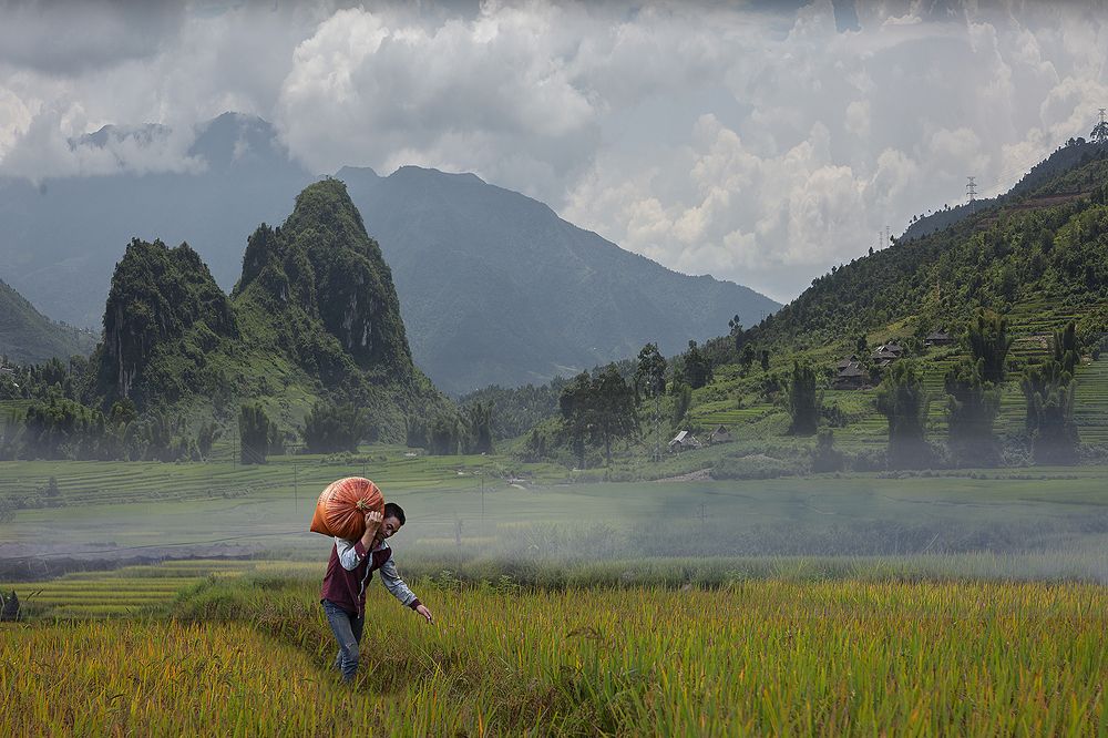 Photograph by Klas Gustafsson