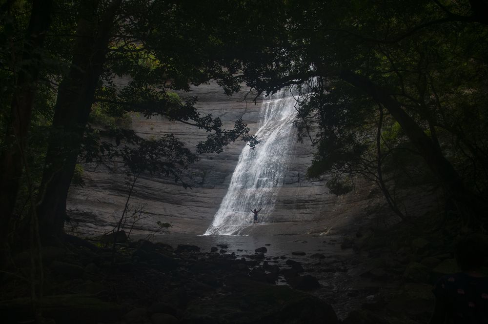 Photograph by Chamara Sulakkhana Polwatta Siriyalage