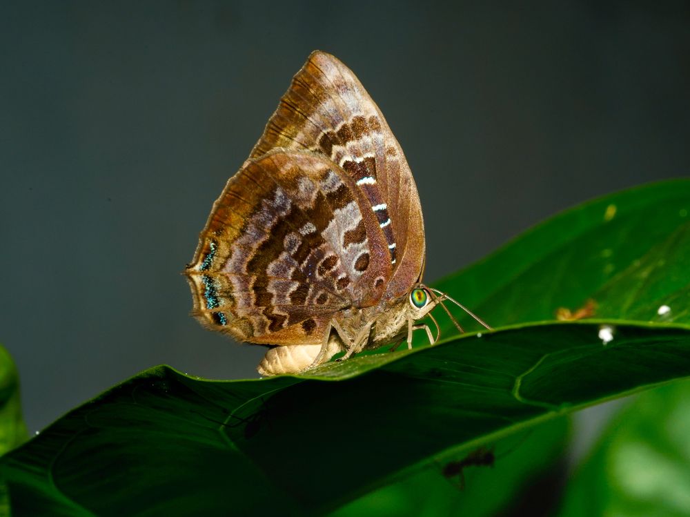 Photograph by Yustiawan