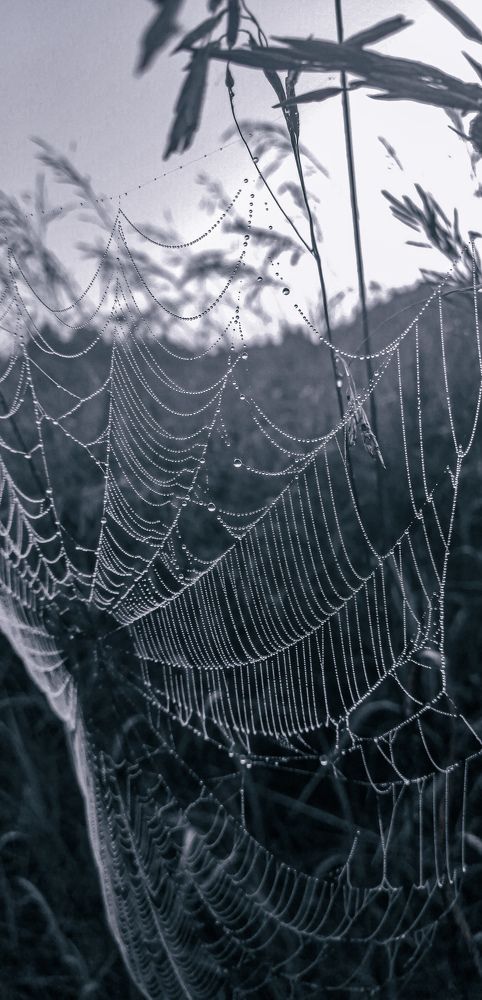 Photograph by Наталья Клячина