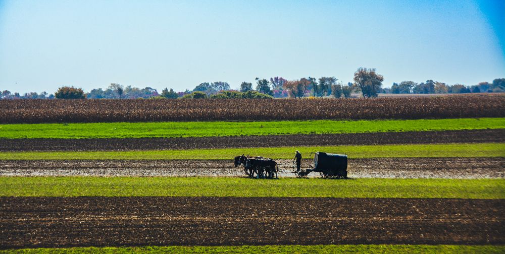 Photograph by Aida Cerpa