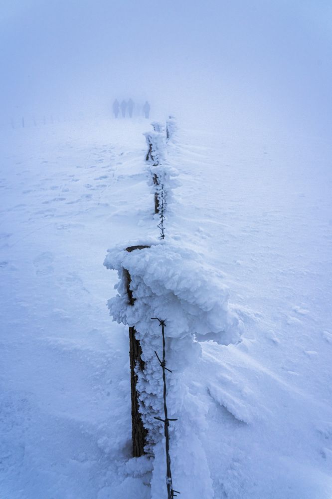 Фотография автора Виктор Демидов