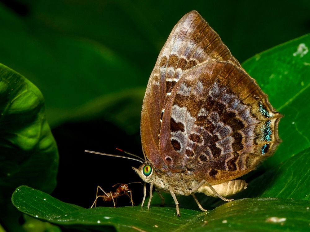 Photograph by Yustiawan