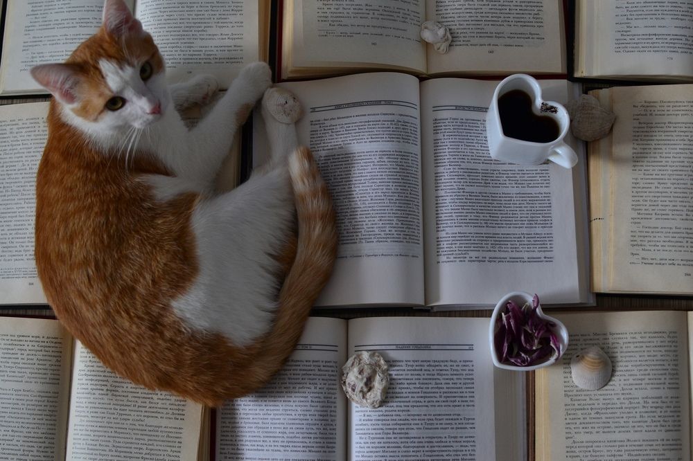 Photograph by Ksenia Paramonova