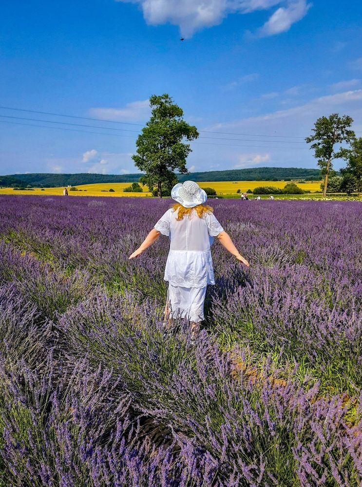 Photograph by Елена Шерман