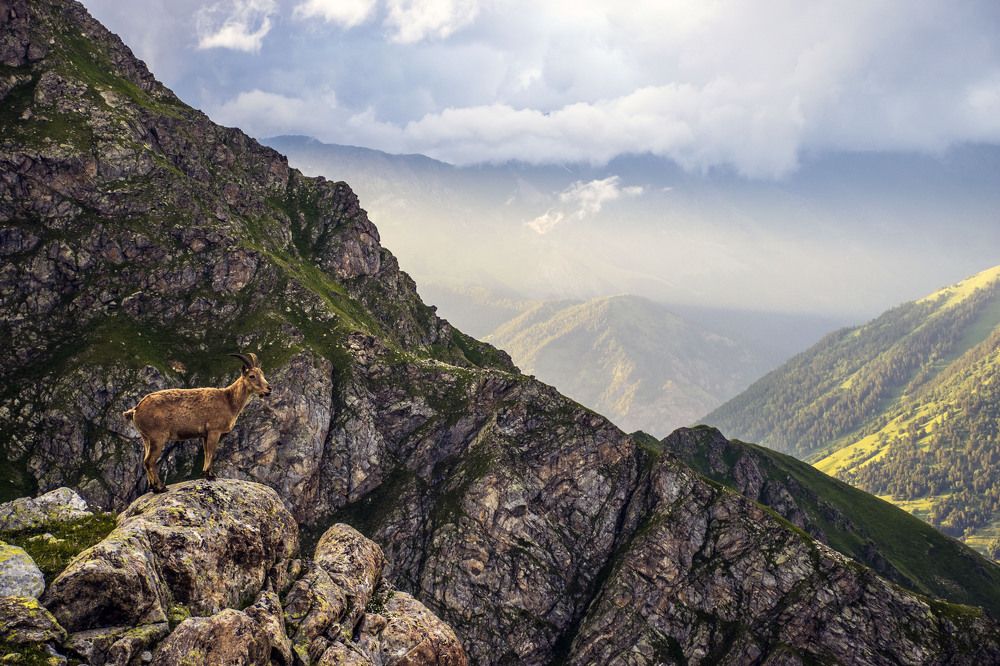 Photograph by Виталий Мартынов