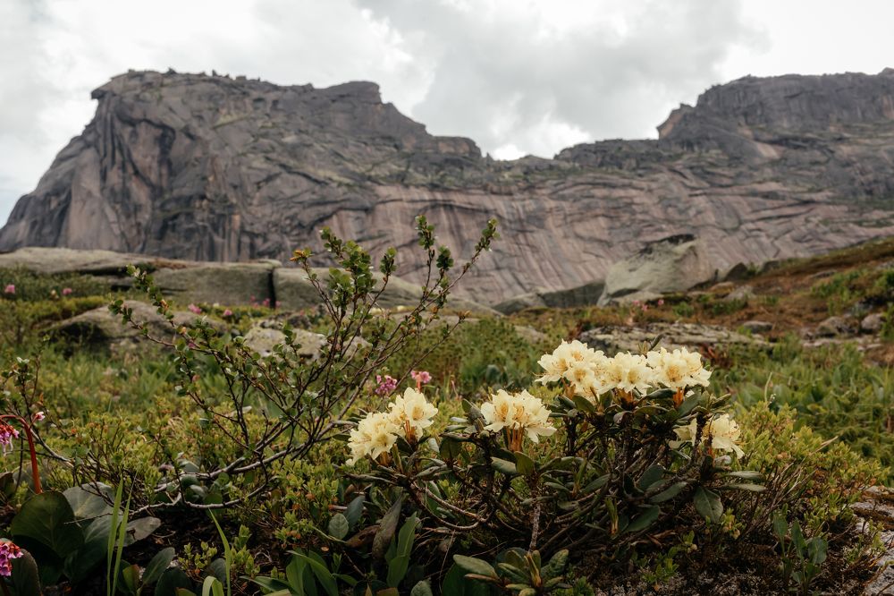 Photograph by Корчагина Оксана