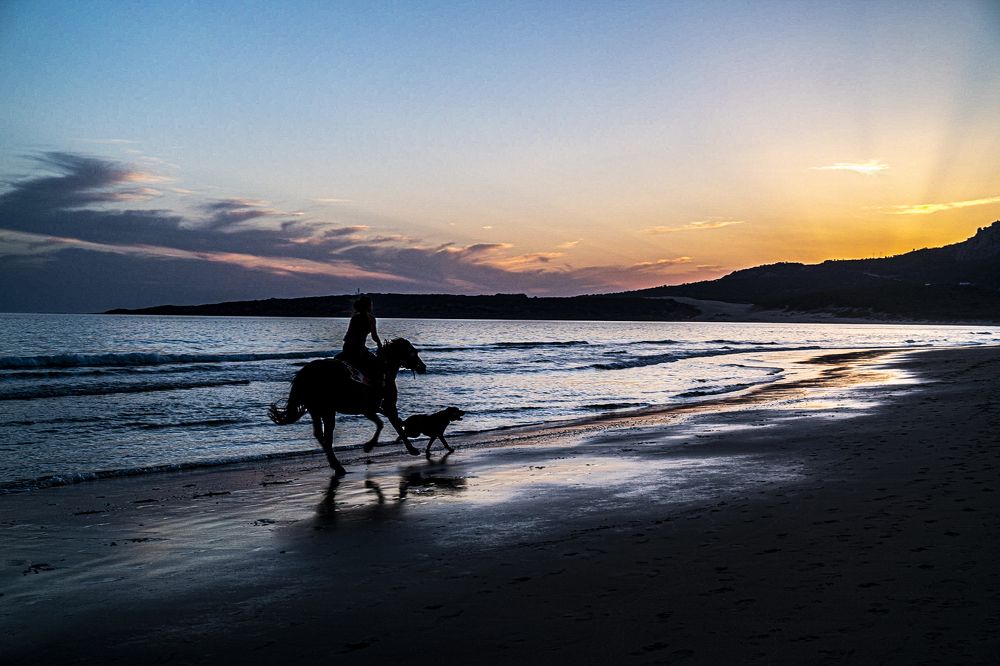 Photograph by Amelia Pardo