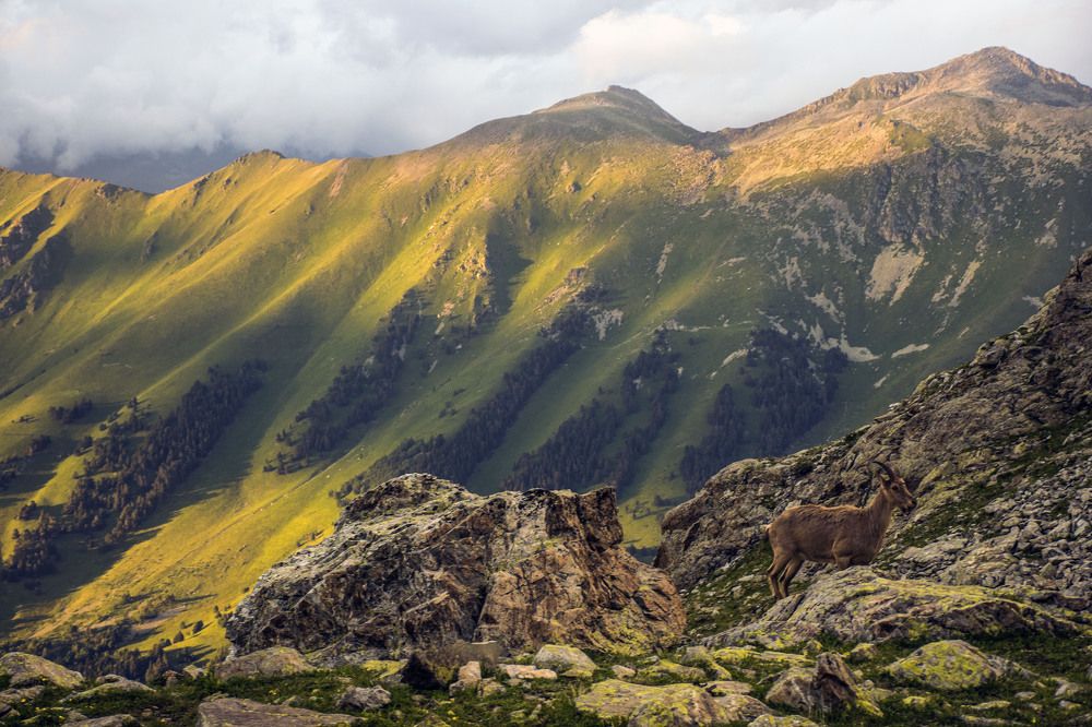 Photograph by Виталий Мартынов